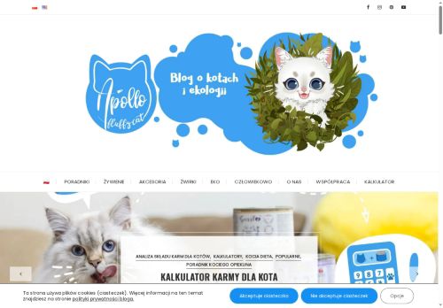 Blog o kotach: Apollo Fluffy Cat