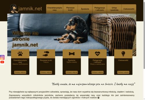 Jamnik.net czyli wszystko o jamnikach