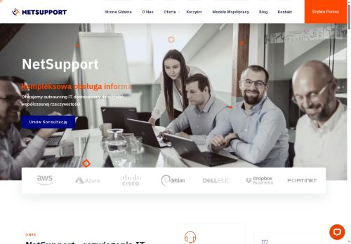 Profesjonalne usługi informatyczne Netsupport