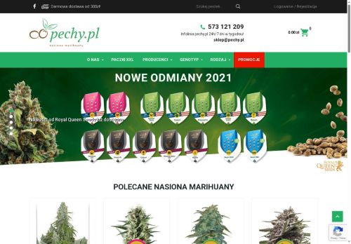 Pechy Nasiona Marihuany Katowice